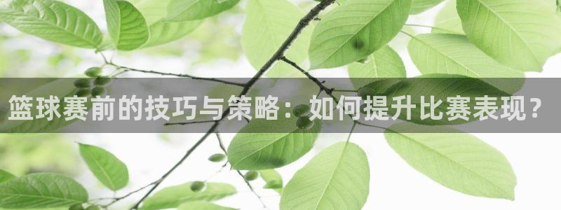 皇冠软件2020